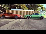 Ford Mustang Shelby GT 500 & Boss 302