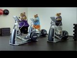 2014 Kia Soul / Hamster Commercial