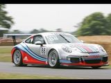 Porsche 911 Parade - Goodwood Festival of Speed 2013