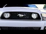 New Ford Mustang 2013