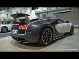 $3.5 Million Bugatti Veyron 16.4 Mansory Vivere