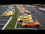Lamborghini Parking Only! 50+ Lamborghinis at a meet