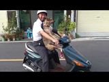 Dog Get's On Scooter Like a BOSS